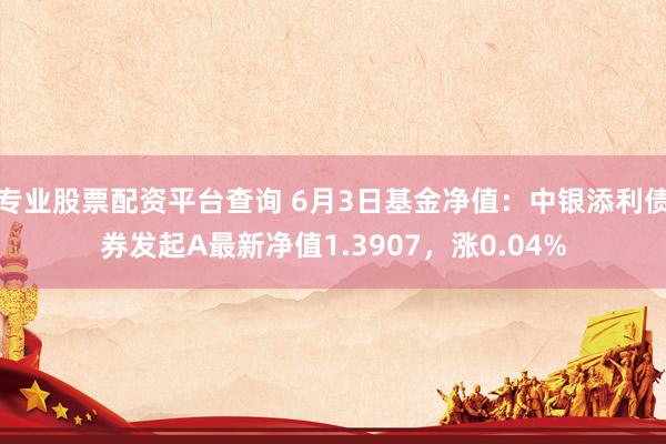 专业股票配资平台查询 6月3日基金净值：中银添利债券发起A最新净值1.3907，涨0.04%