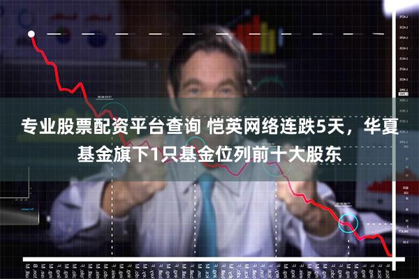 专业股票配资平台查询 恺英网络连跌5天，华夏基金旗下1只基金位列前十大股东