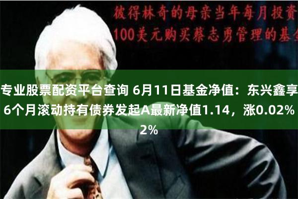 专业股票配资平台查询 6月11日基金净值：东兴鑫享6个月滚动持有债券发起A最新净值1.14，涨0.02%