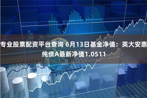 专业股票配资平台查询 6月13日基金净值：英大安惠纯债A最新净值1.0511