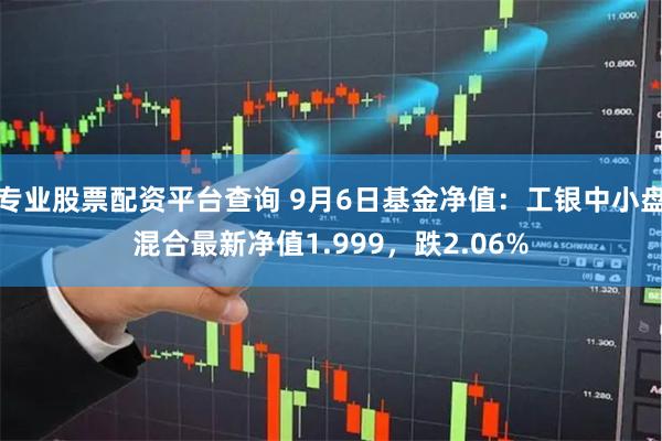 专业股票配资平台查询 9月6日基金净值：工银中小盘混合最新净值1.999，跌2.06%